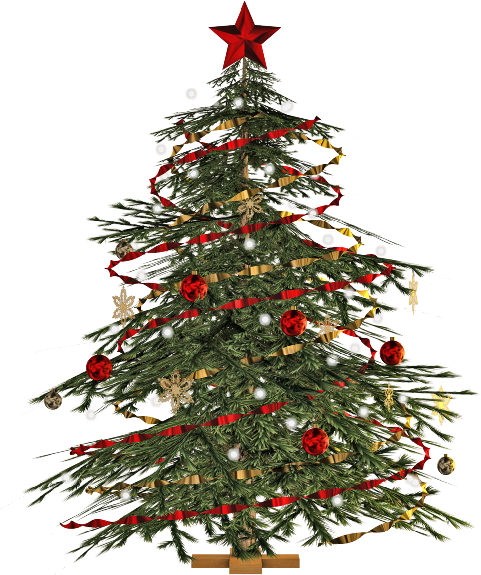 Christmas Tree Png Image - Christmas Tree Images Png (818x977), Png Download