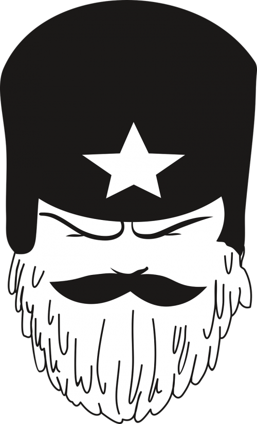Face,male,portrait,a Person,beard,guy,man,boy - Portrait (500x825), Png Download