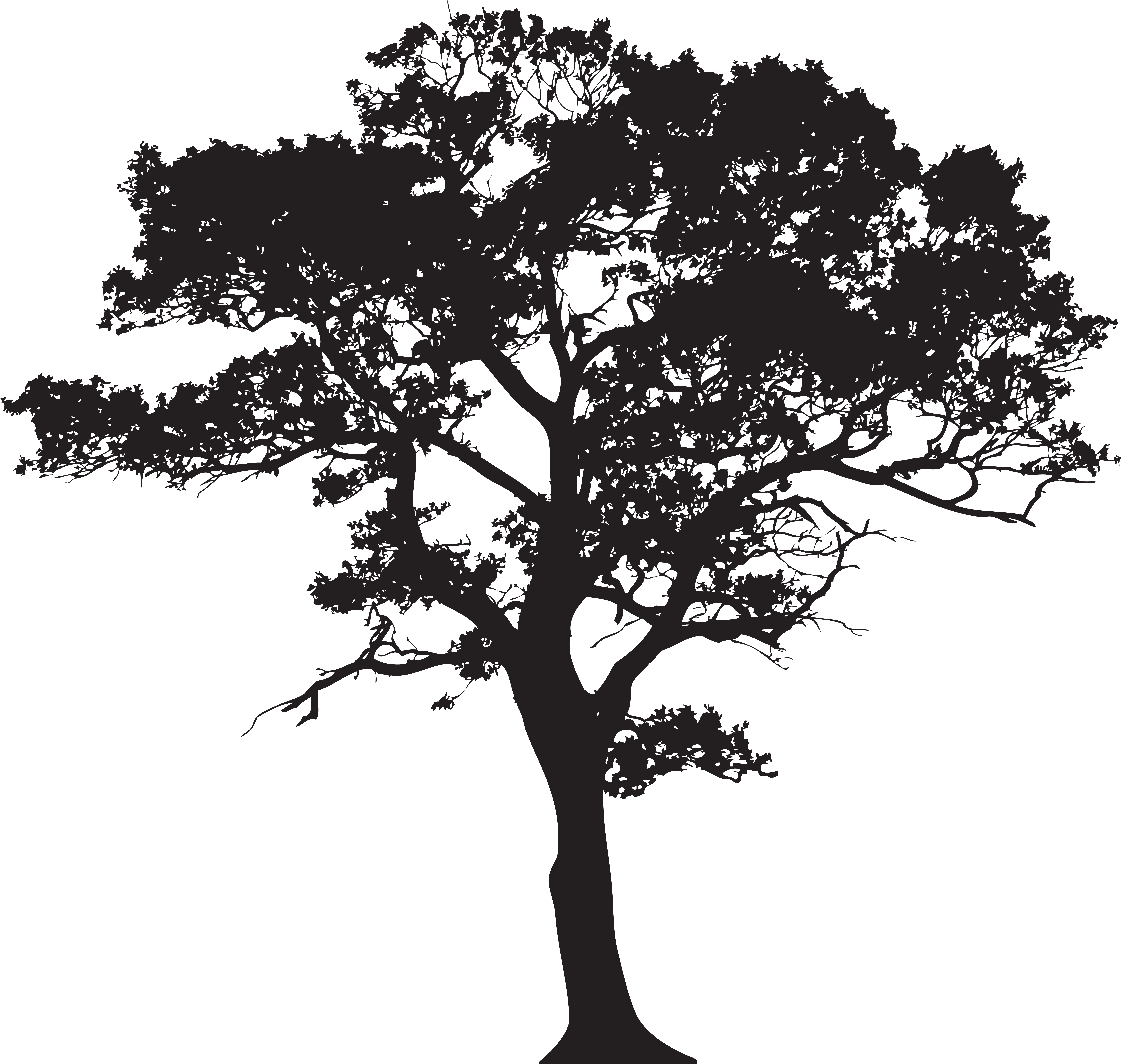 Silhouette Tree Png Clip Art Image (8000x7662), Png Download
