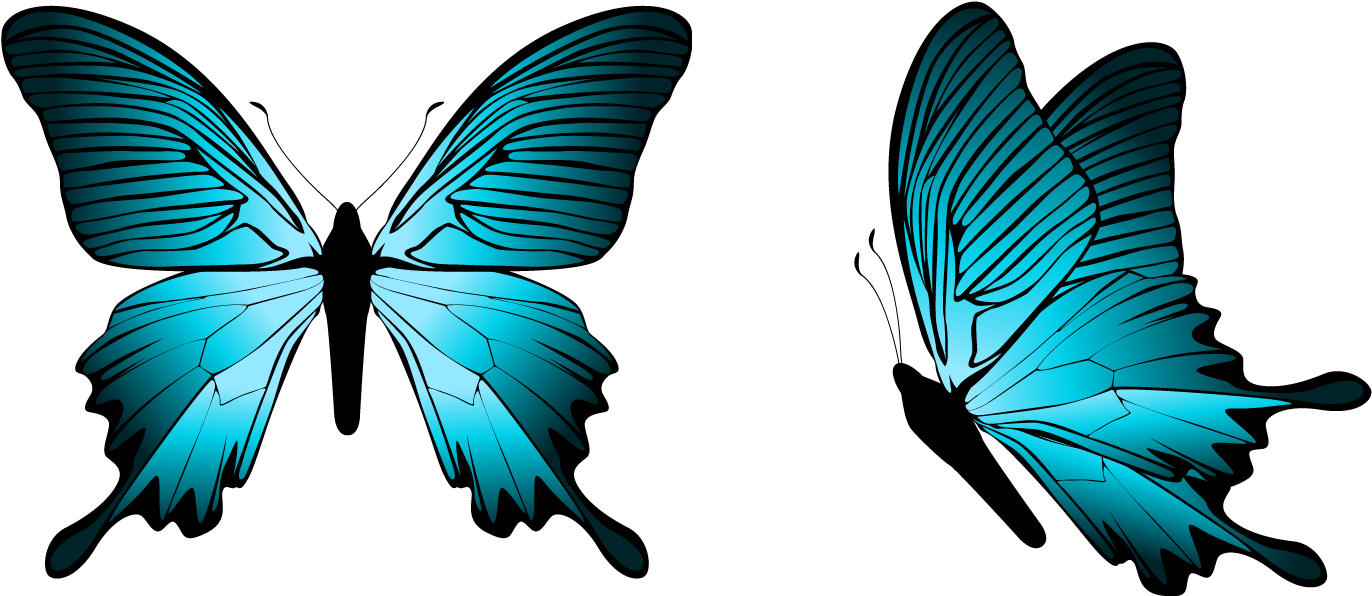 Blue Butterfly Png Clipart Image - Butterfly Png (1425x645), Png Download
