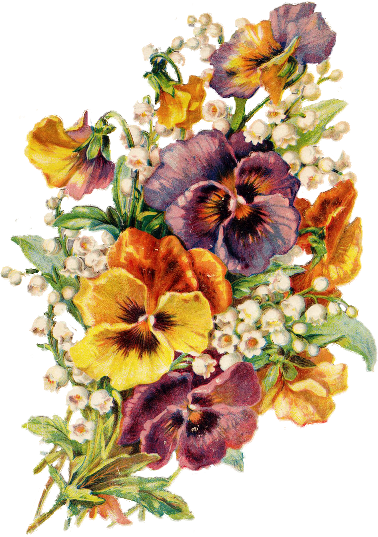 0 7a899 4b1f39e9 Orig Pansies, Beautiful Flowers, Beautiful - Цветы Гуашью На Прозрачном Фоне (761x1081), Png Download
