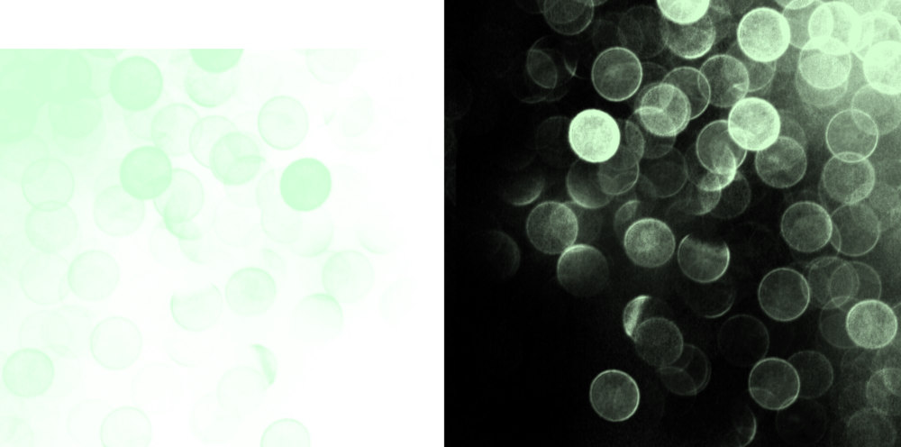 Bokeh Vector Large - Green Bokeh Png (1000x496), Png Download