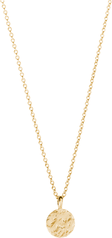 Download Tiny Sun Coin Necklace Locket Png Image With No Background Pngkey Com