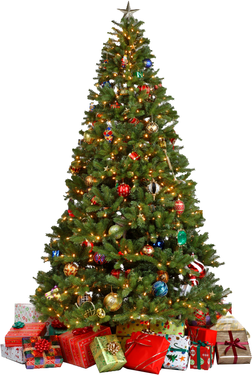 Christmas Tree Png - Decorated Christmas Tree Png (521x773), Png Download