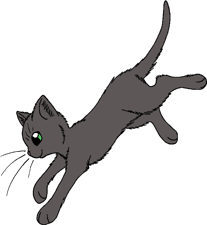 Rain - Warrior Cats Dawn Of The Clans Leaf (729x781), Png Download