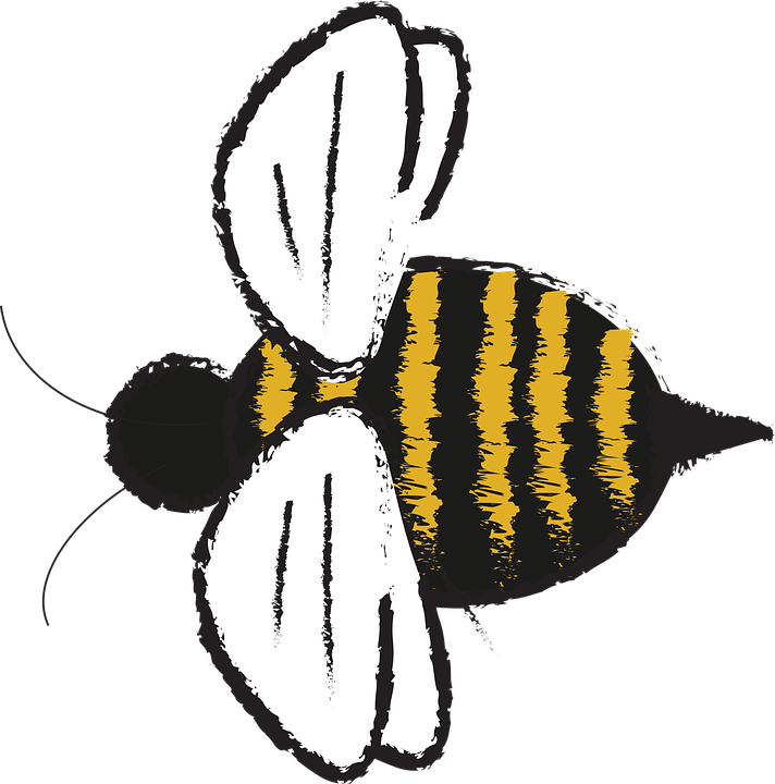 Bee Vector Watercolor - Bumblebee Png Animal (475x480), Png Download