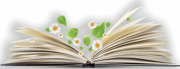 Open Book Png Image - Open Book Png Transparent - Free Transparent PNG ...
