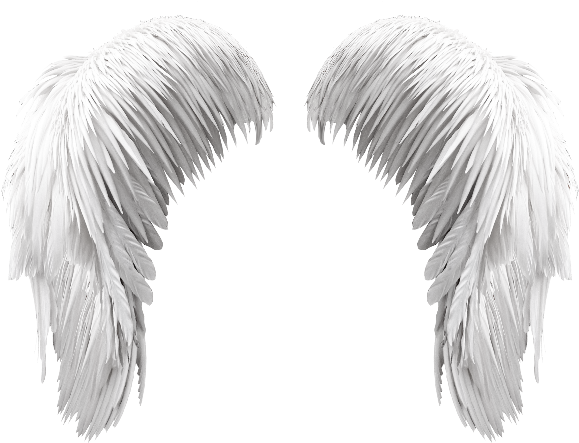 Free White Wings Png - Angel Wings White Png (800x600), Png Download