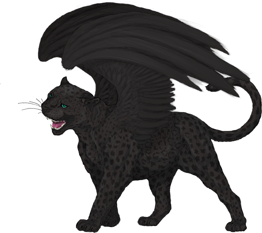 Download Leopard Black Panther Felidae Cat Drawing - Black Panther Animal  Drawing PNG Image with No Background 