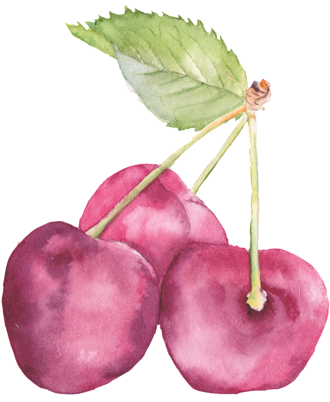 Hand-painted Realistic Three Cherry Decoratives - 水墨畫 水果 (1024x1122), Png Download