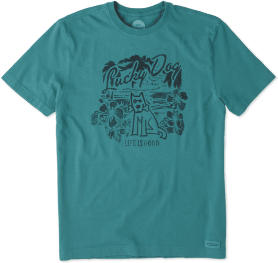 Youth: Batman - Knight Flight (570x570), Png Download