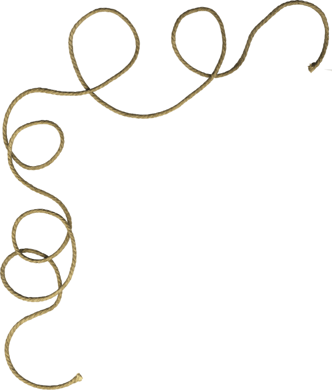Curly Rope - Curly Rope Png (654x768), Png Download