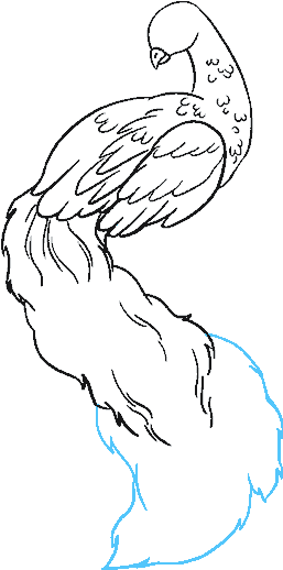 How To Draw Peacock - Drawing (678x600), Png Download