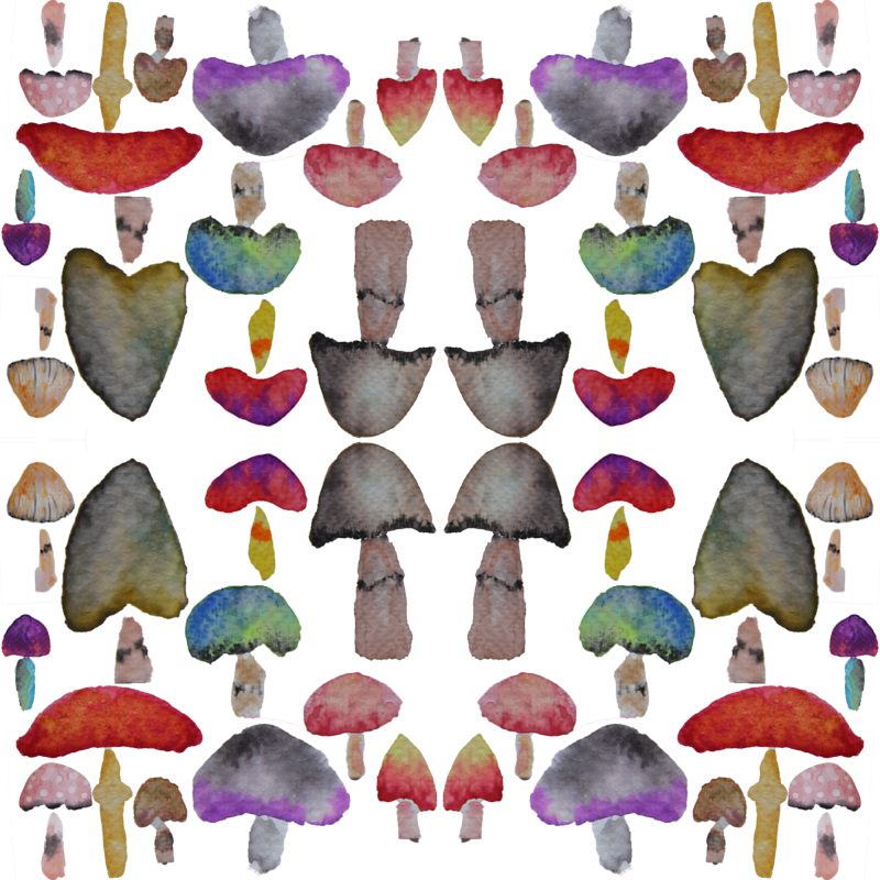 Clip Art (800x800), Png Download
