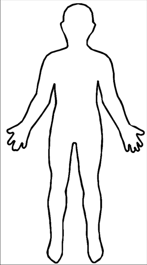 File - Outline-body - Human Body Outline (500x901), Png Download