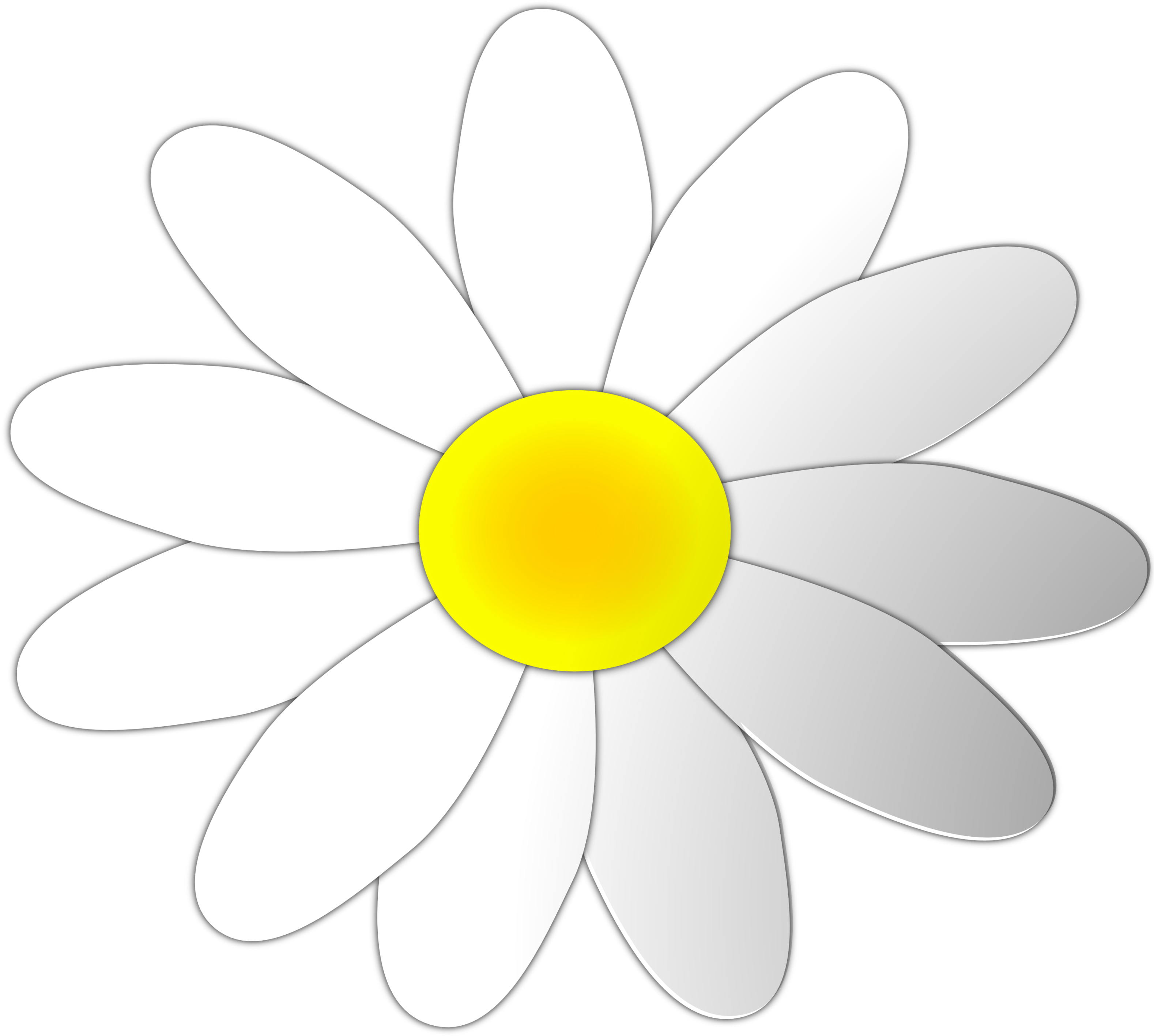Chamomile Clipart Daisy - Common Daisy (3166x3139), Png Download