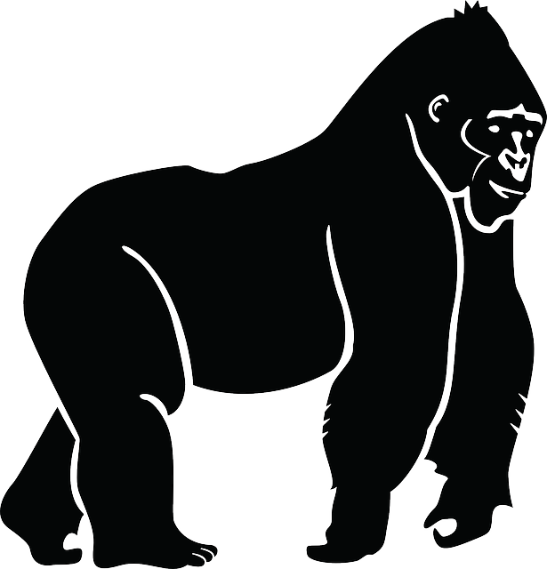 Free Vector Graphic - Gorilla Silhouette (615x640), Png Download