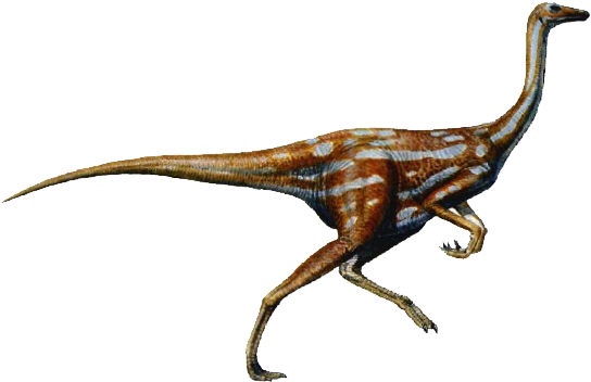 Ornithomimus-dinosaur - Ornithomimus Dinosaur (566x368), Png Download