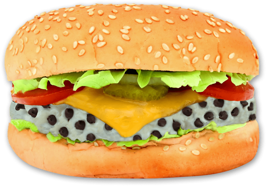 Png Free Images Toppng Transparent - Burger Png (850x595), Png Download