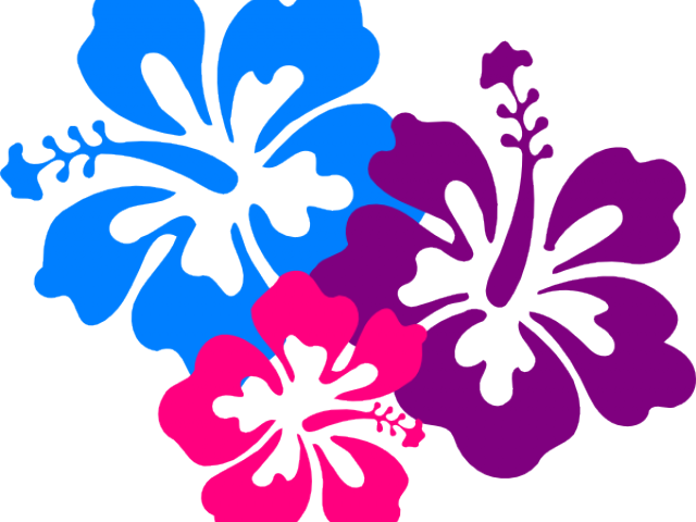 Hibiscus Clip Art (640x480), Png Download