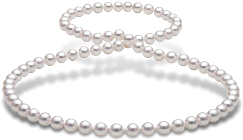14kt Gold - Cultured Japanese Akoya Saltwater Pearl (495x495), Png Download
