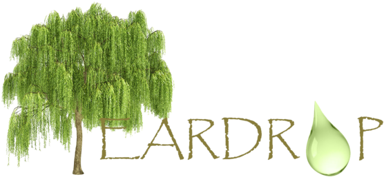 Teardrop - Willow Tree Cut Out (593x300), Png Download