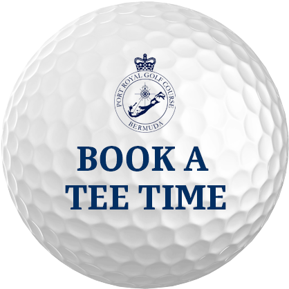 Port Royal Bermuda (500x500), Png Download