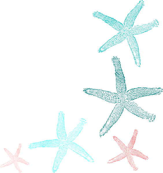 Teal Starfish Clipart - Coral Starfish Clipart (564x599), Png Download