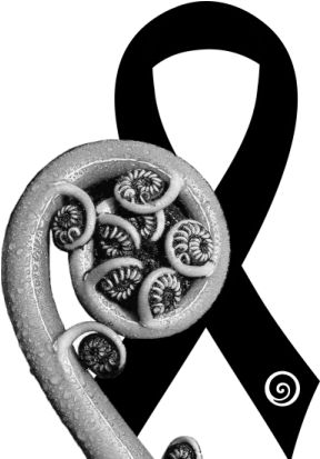 Over The Years, A Black Ribbon Has Been Used As A Symbol - Koru Fern New Zealand (423x417), Png Download