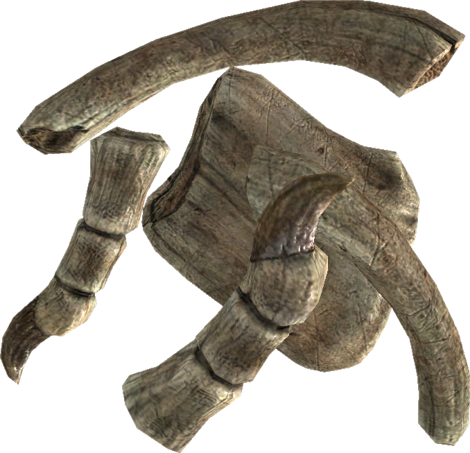 Tesv Dragon Bone - Драконья Кость (678x653), Png Download