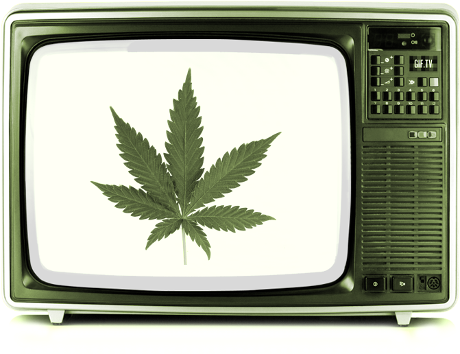 I Get High A Lot And I Watch A Lot Of Videos While - Kush Queen (800x800), Png Download
