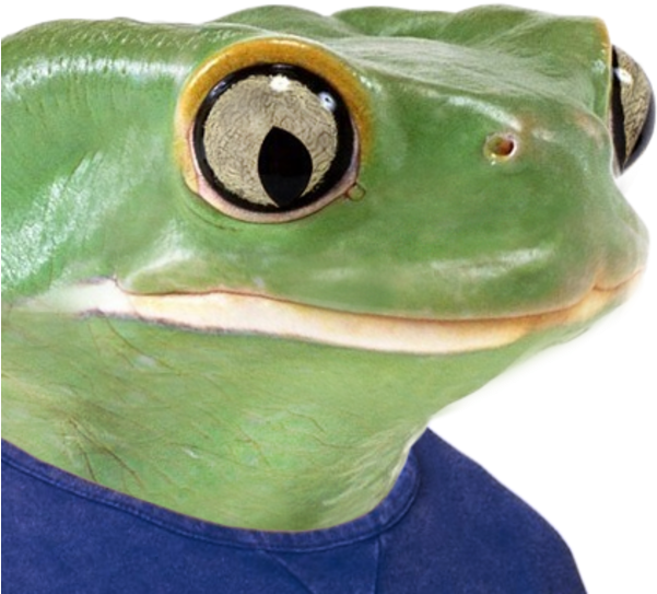 Politically Incorrect » Thread - Real Life Pepe The Frog (600x600), Png Download