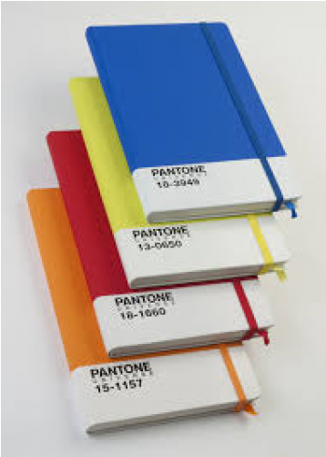 Pantone Universe Pocket Ruled Notebook - Pantone Carnet (500x500), Png Download