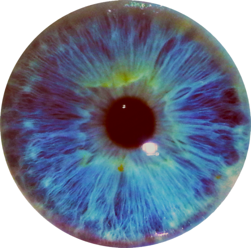 Trippy Myself Eye Blue Shitty Quality Png Transparent - Trippy Png (500x494), Png Download