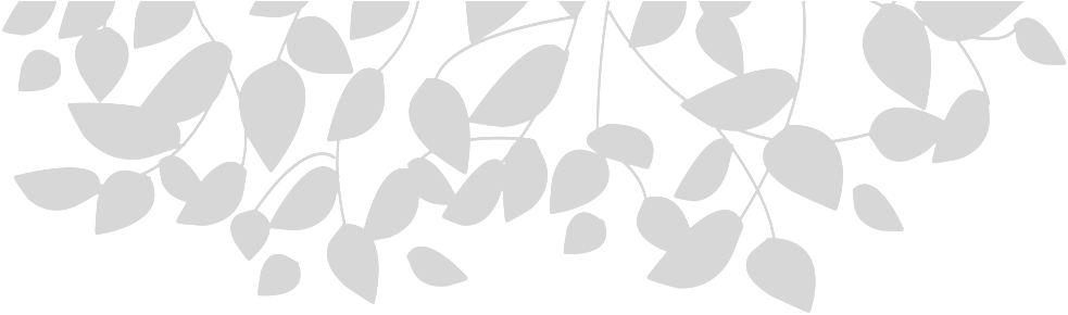 Dva-leaves (1000x521), Png Download