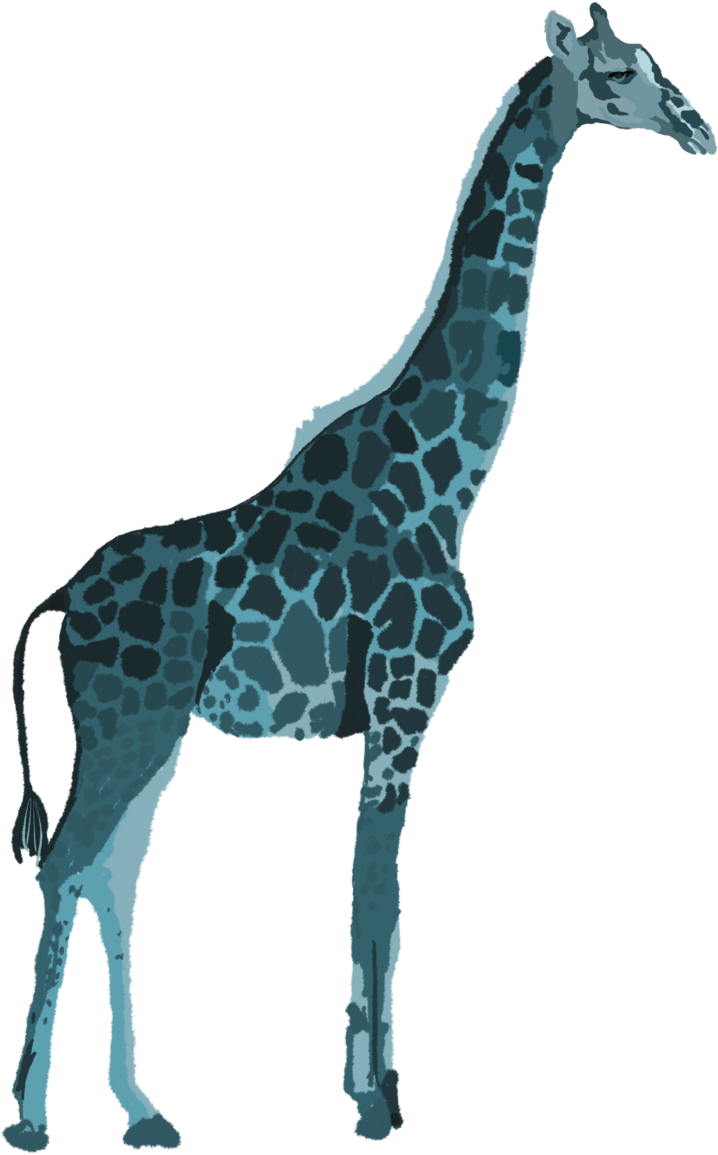 Giraffe (1000x1415), Png Download