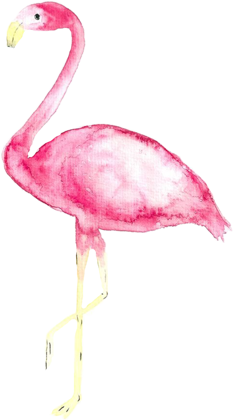 Report Abuse - Iphone Se Wallpaper Pastel Flamingo Real (479x864), Png Download