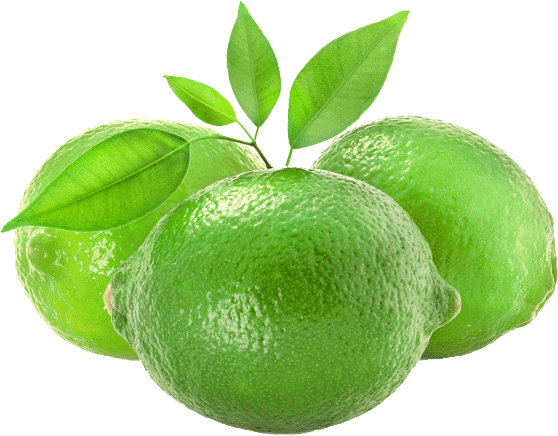 Learn More About Pemberton Limes - Lime (558x436), Png Download