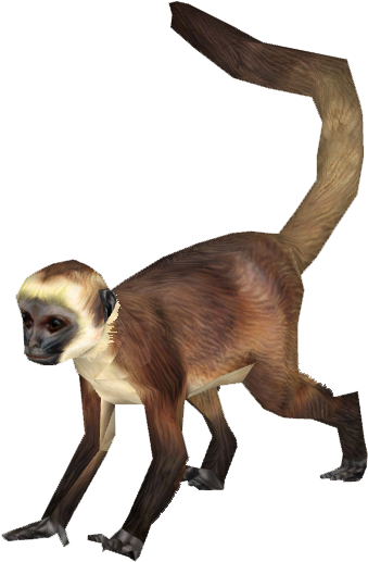 Download Spider Monkey Png Png Freeuse Stock - Spider Monkey Png PNG ...
