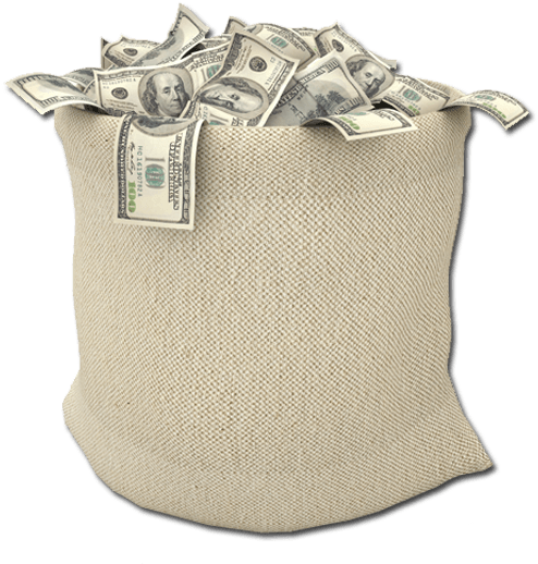 Bag With Million Dollars (800x520), Png Download