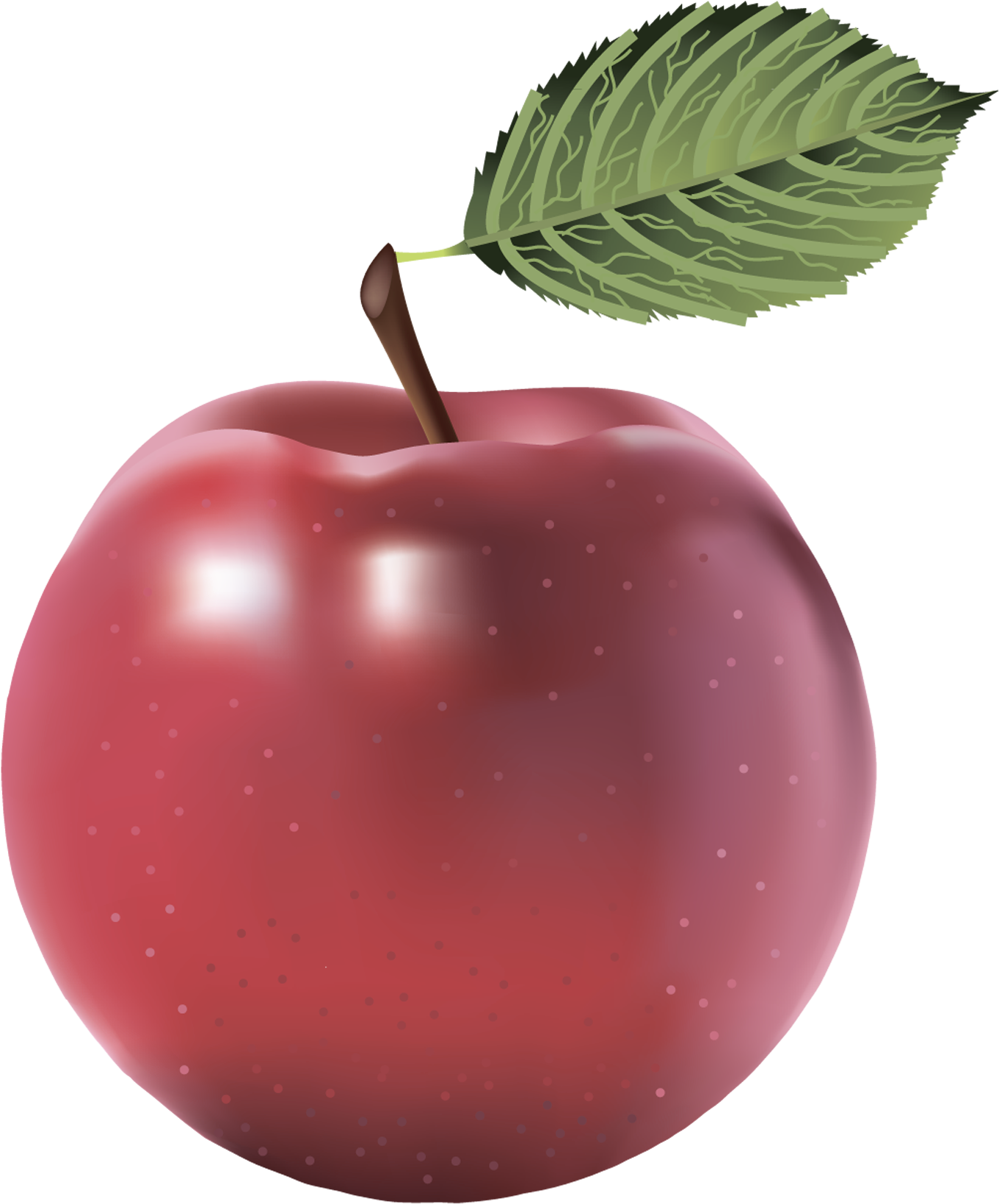 Apple Png - Apple Image Without Background (1428x1702), Png Download