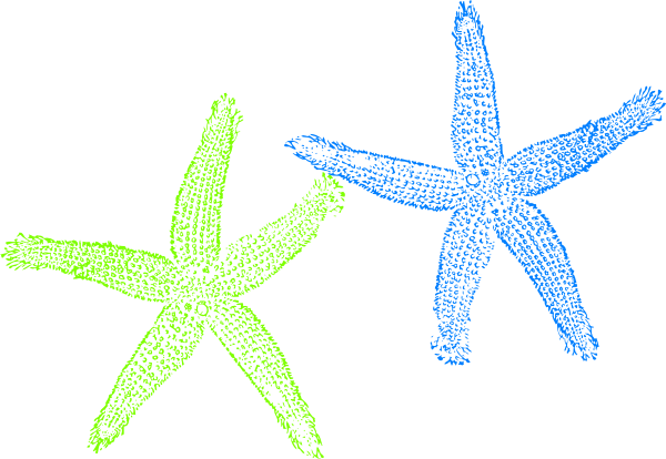How To Set Use Blue Green Starfish Clipart (600x414), Png Download