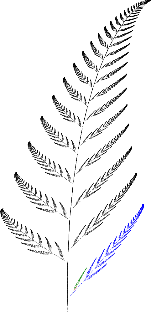 Barnsley Fern Funktion4 - Sketch (482x997), Png Download