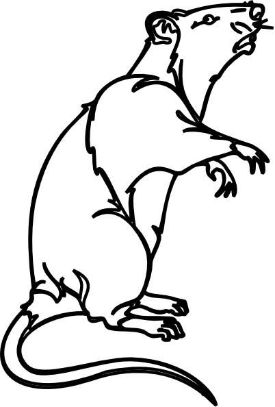 Rat Svg Clip Arts 402 X 594 Px (402x594), Png Download