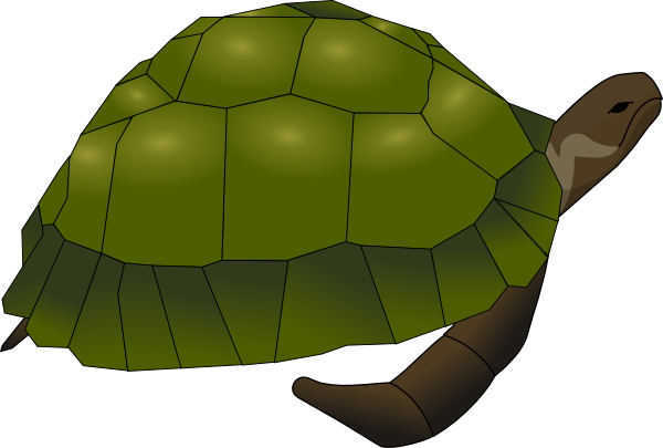 Turtle Svg Clip Arts 600 X 405 Px (600x405), Png Download