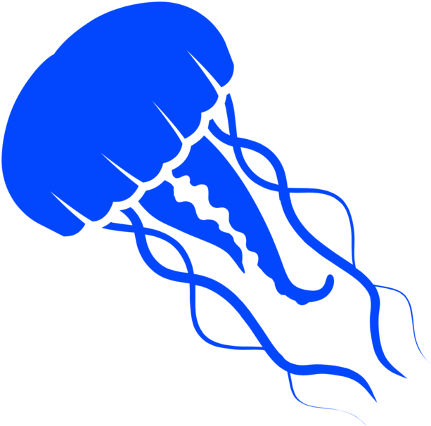 Jellyfish - Portable Network Graphics (1000x993), Png Download