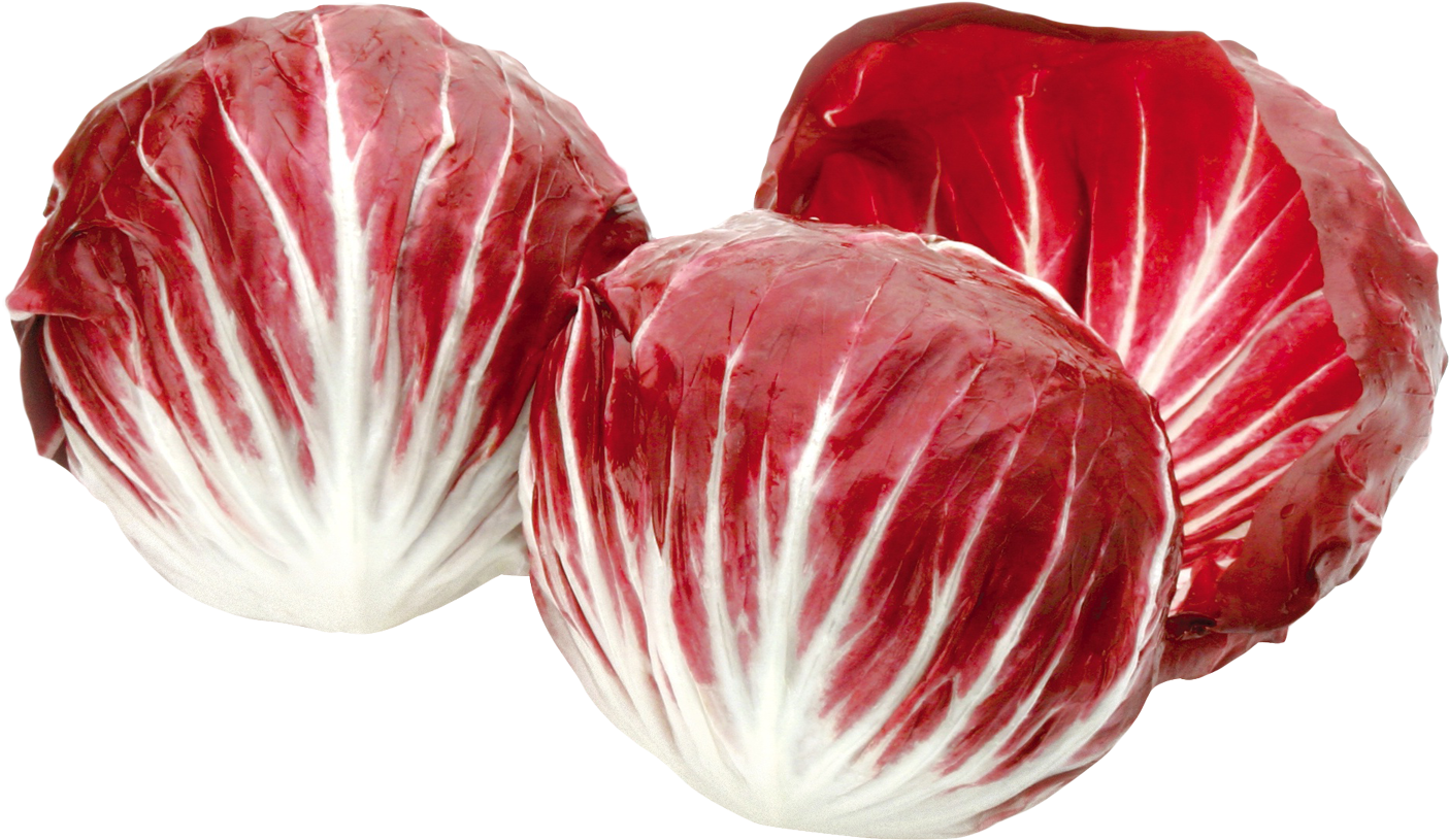 Radicchio Red Salad Png Image - Red Radicchio (1458x905), Png Download