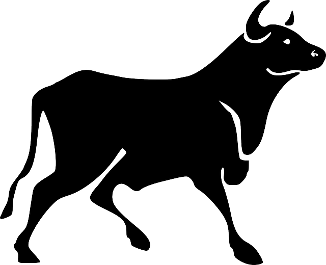 Silhouette Barn Farm Walking Horns Animal Png - Bull Png (640x520), Png Download
