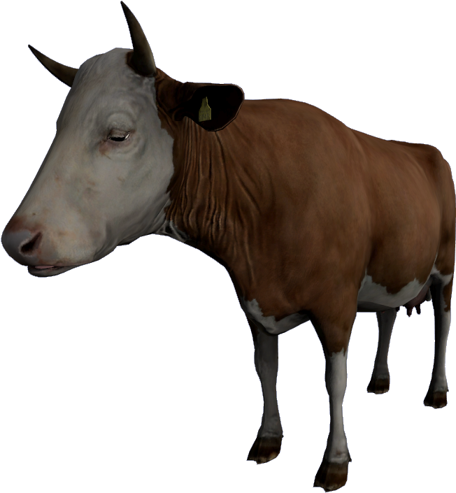 Livestock (800x800), Png Download