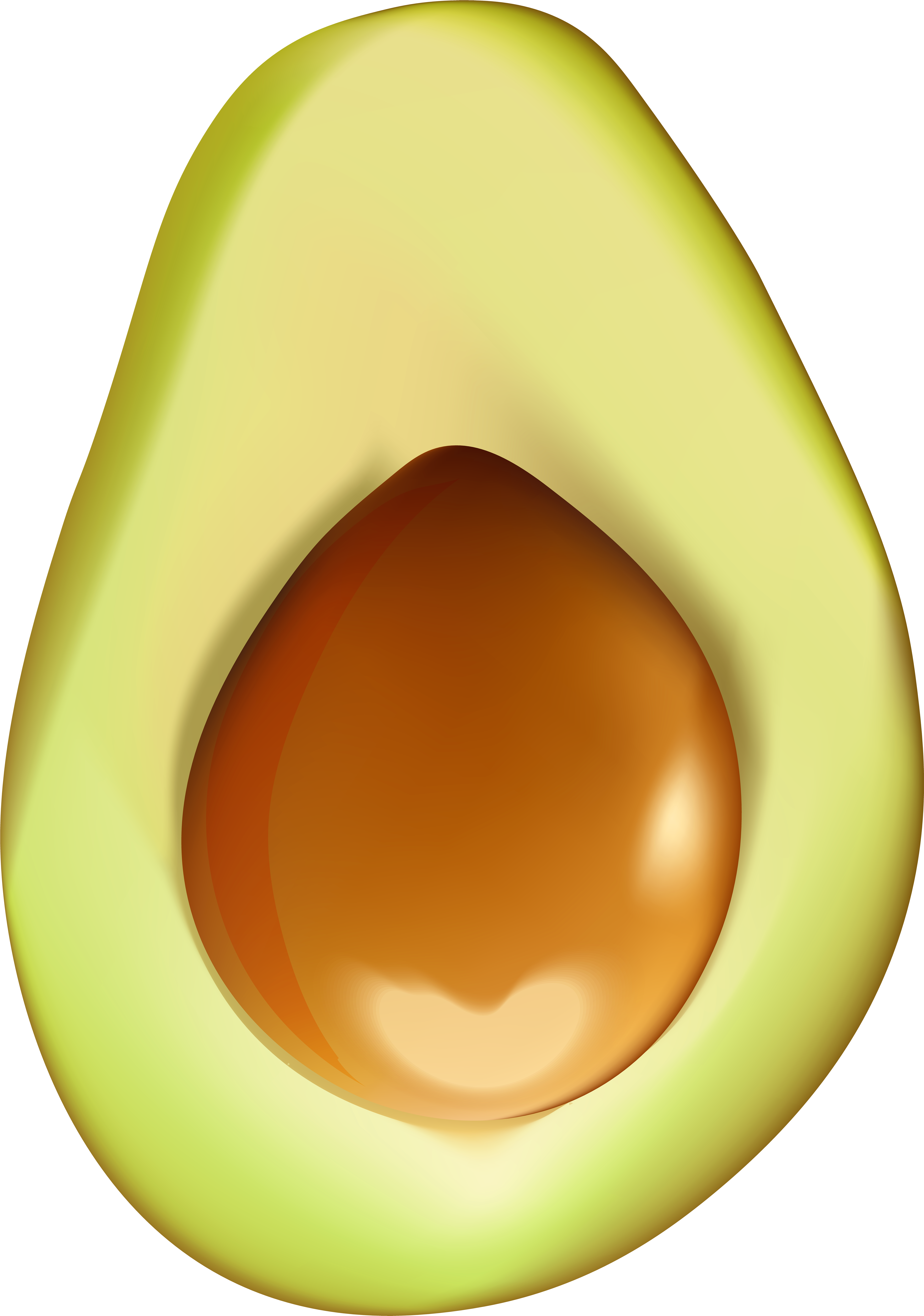 Avocado Png (5614x8000), Png Download